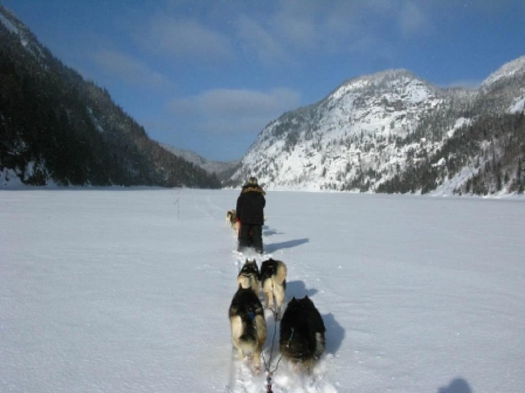 Chalets Condos Sur Le Fjord LʼAnse-Saint-Jean Екстериор снимка